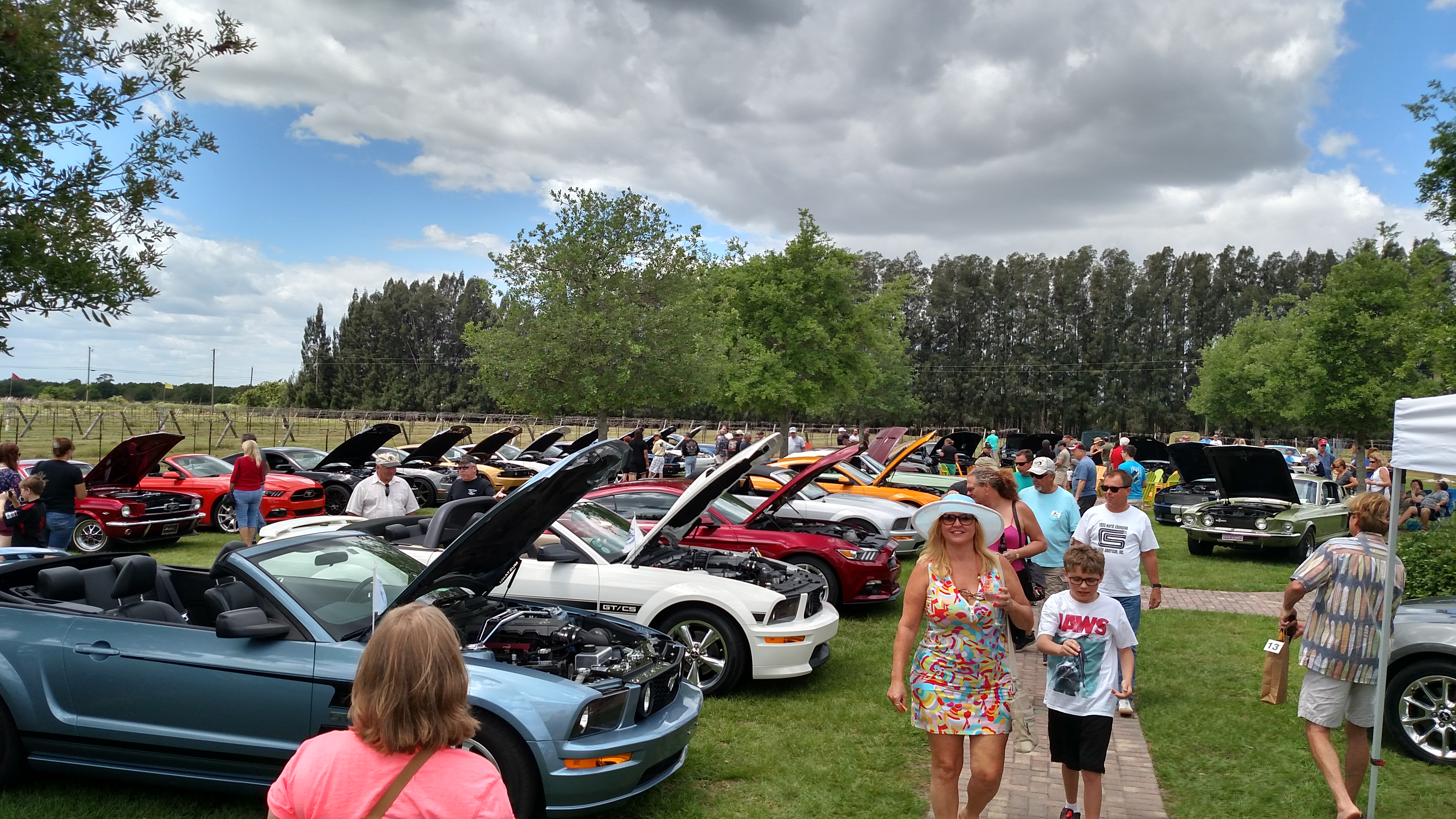 Celebrating 60 Years of Mustangs with a HORSIN' AROUND THE VINEYARD Mustang & Ford Car Show AND TRIBUTE TO THE MUSIC OF PHIL COLLINS & GENESIS!!